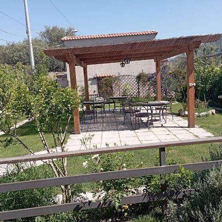 Vivere A Colori Vico Equense Dış mekan fotoğraf