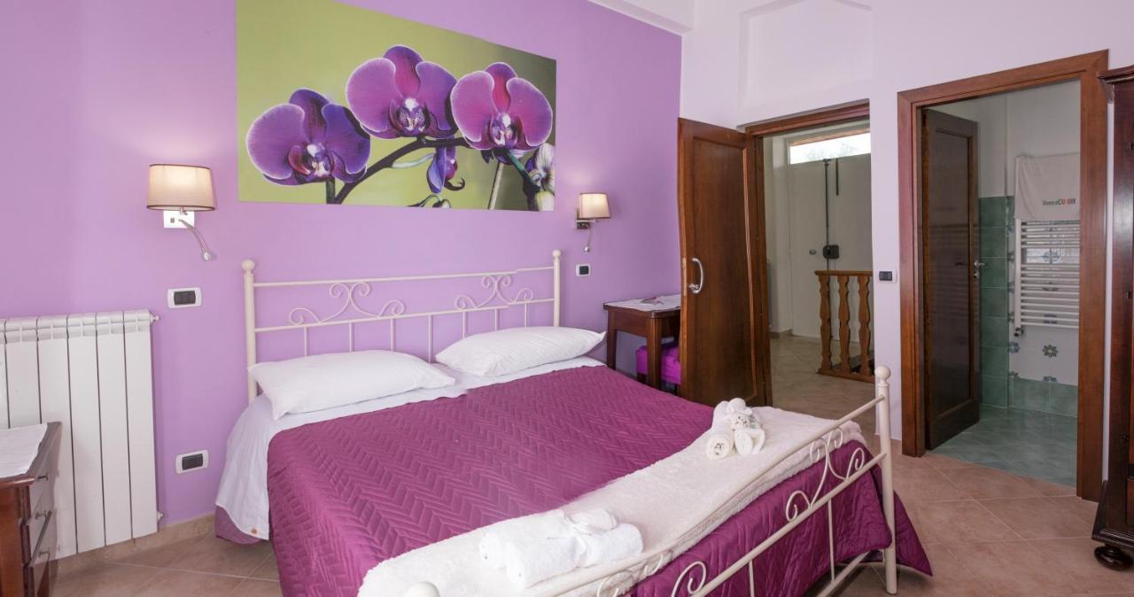 Vivere A Colori Vico Equense Dış mekan fotoğraf