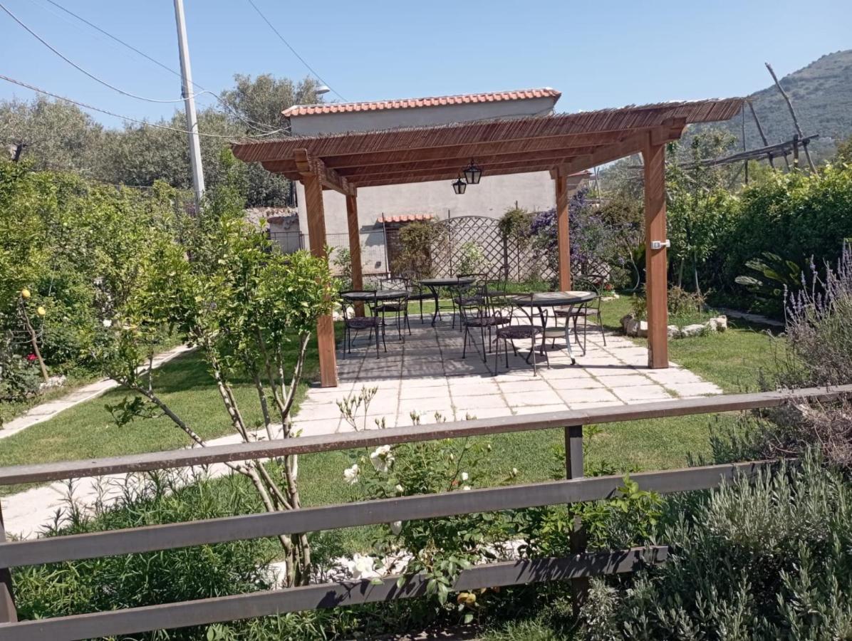 Vivere A Colori Vico Equense Dış mekan fotoğraf